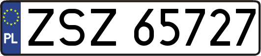 ZSZ65727
