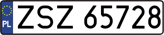 ZSZ65728