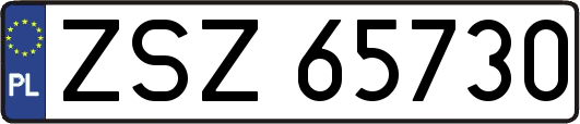 ZSZ65730