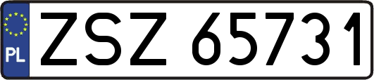 ZSZ65731