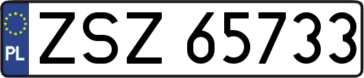 ZSZ65733