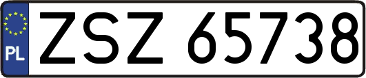 ZSZ65738