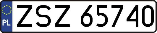 ZSZ65740