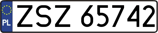 ZSZ65742