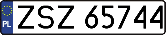 ZSZ65744