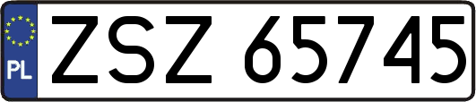 ZSZ65745