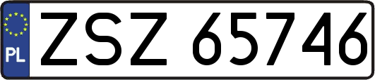 ZSZ65746