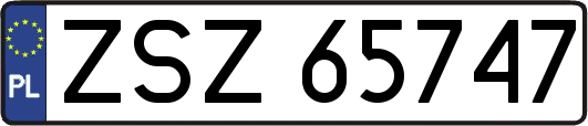 ZSZ65747