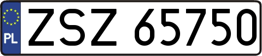 ZSZ65750