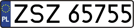 ZSZ65755