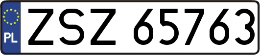 ZSZ65763