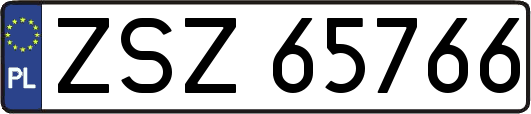 ZSZ65766