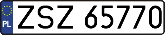 ZSZ65770
