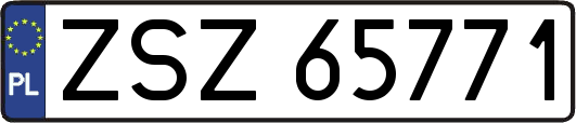 ZSZ65771