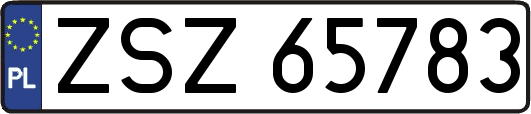 ZSZ65783