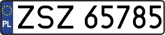 ZSZ65785