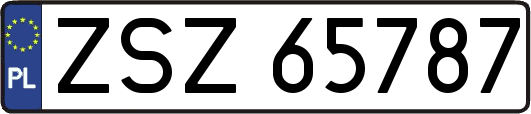 ZSZ65787