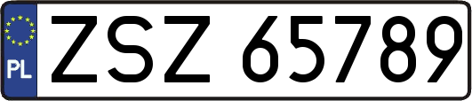 ZSZ65789