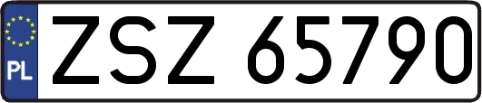 ZSZ65790