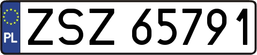 ZSZ65791