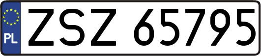 ZSZ65795