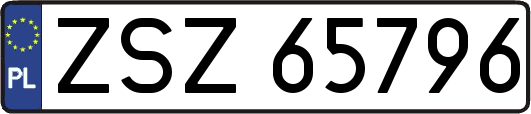 ZSZ65796