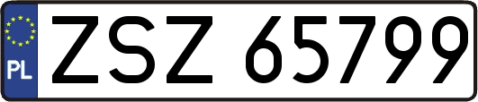 ZSZ65799