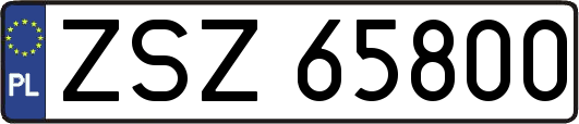 ZSZ65800