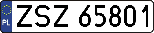 ZSZ65801
