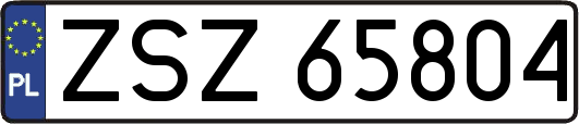 ZSZ65804
