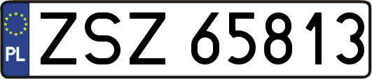 ZSZ65813