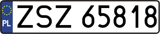 ZSZ65818