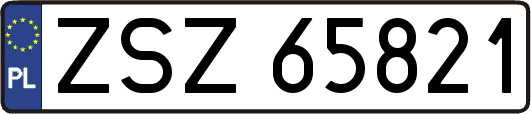ZSZ65821