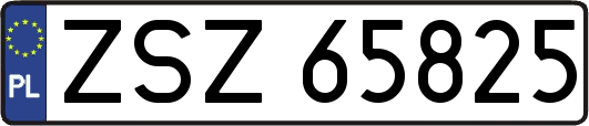 ZSZ65825