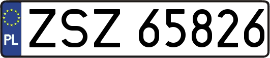 ZSZ65826
