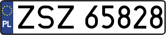 ZSZ65828
