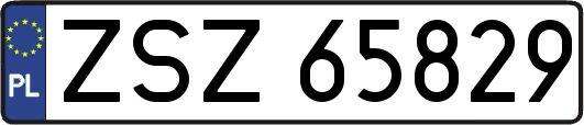 ZSZ65829