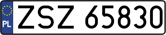 ZSZ65830