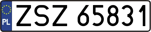 ZSZ65831