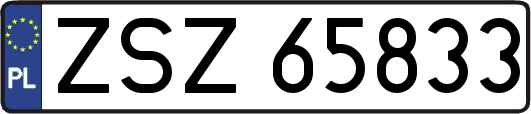 ZSZ65833