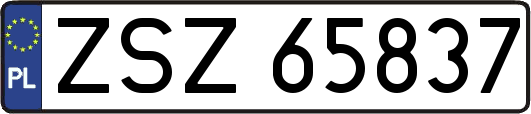 ZSZ65837