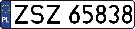 ZSZ65838