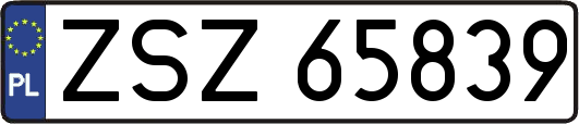 ZSZ65839
