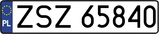 ZSZ65840