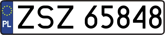 ZSZ65848