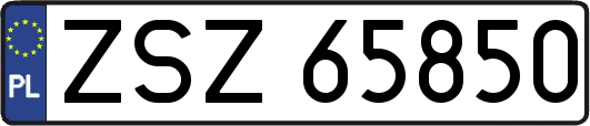 ZSZ65850