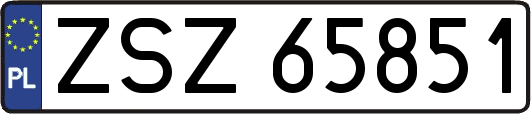 ZSZ65851