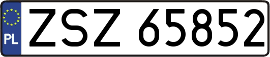 ZSZ65852