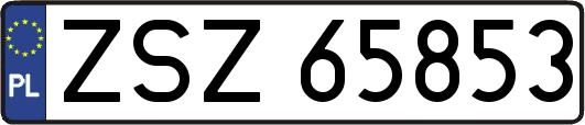 ZSZ65853