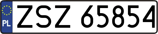 ZSZ65854